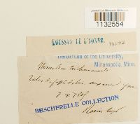 thumbnail image of current specimen