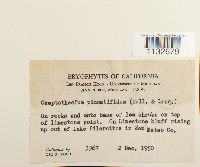 Image Associated With the Occurrence