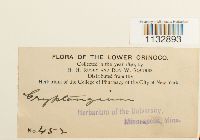 Image Associated With the Occurrence