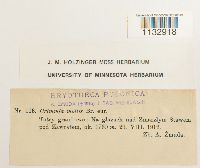 Image Associated With the Occurrence