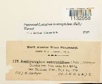 Image Associated With the Occurrence