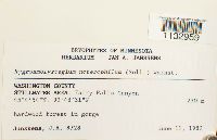 Image Associated With the Occurrence