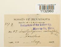 Image Associated With the Occurrence