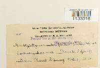 Image Associated With the Occurrence