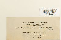 Image Associated With the Occurrence