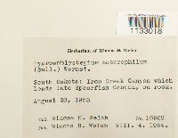 Image Associated With the Occurrence