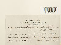 Image Associated With the Occurrence