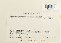 Image Associated With the Occurrence