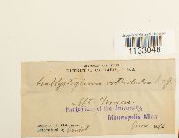 Image Associated With the Occurrence