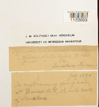 Image Associated With the Occurrence