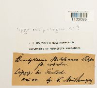 Image Associated With the Occurrence