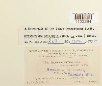 Thumbnail image of current specimen