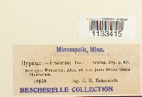 thumbnail image of current specimen