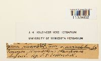 thumbnail image of current specimen