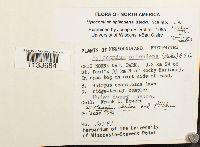 Hylocomium splendens image