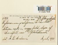 Image Associated With the Occurrence