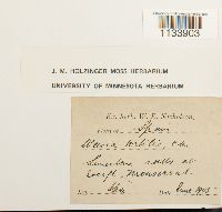 Image Associated With the Occurrence