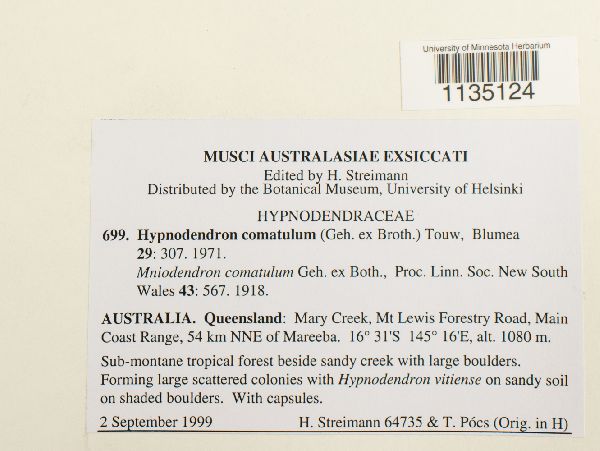 Hypnodendron comatulum image