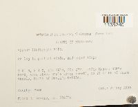 Calliergonella lindbergii image