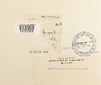 Hypnum cupressiforme image