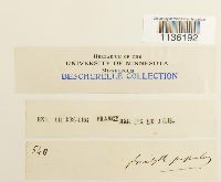 Image Associated With the Occurrence