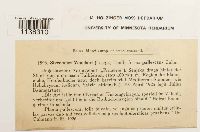 Hypnum vaucheri image