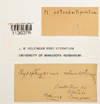 Image Associated With the Occurrence