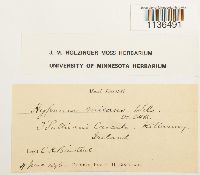 Image Associated With the Occurrence