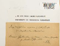 Image Associated With the Occurrence