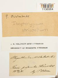 Image Associated With the Occurrence