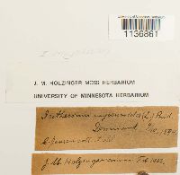 Image Associated With the Occurrence