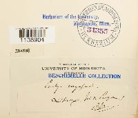 Isothecium myosuroides image