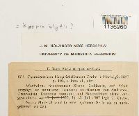 Kiaeria blyttii image