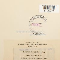 Kiaeria blyttii image