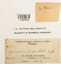 Image Associated With the Occurrence