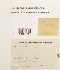 Image Associated With the Occurrence