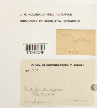 Image Associated With the Occurrence