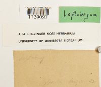 Image Associated With the Occurrence