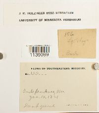 Image Associated With the Occurrence