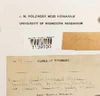 Image Associated With the Occurrence