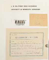 Image Associated With the Occurrence