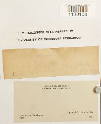 Image Associated With the Occurrence