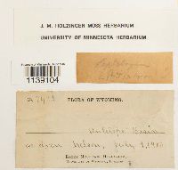 Image Associated With the Occurrence