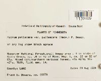 Image Associated With the Occurrence