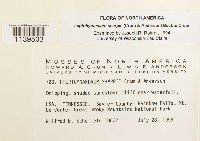 Thumbnail image of current specimen