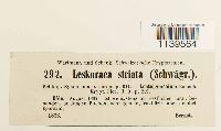 Thumbnail image of current specimen
