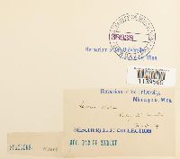 thumbnail image of current specimen