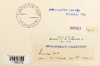 thumbnail image of current specimen