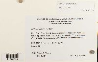 Image Associated With the Occurrence