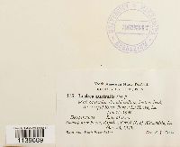 Image Associated With the Occurrence